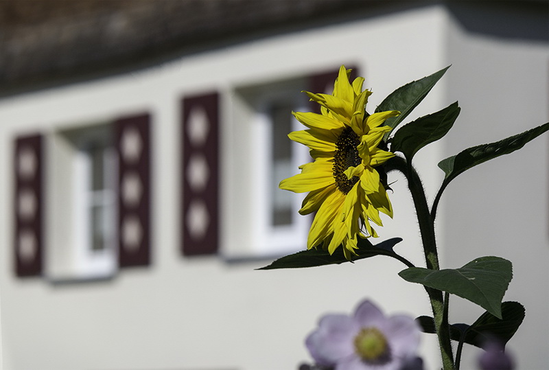 Allgäu 09 - 2014 - 20140915_0241 als Smartobjekt-1 Kopie.jpg